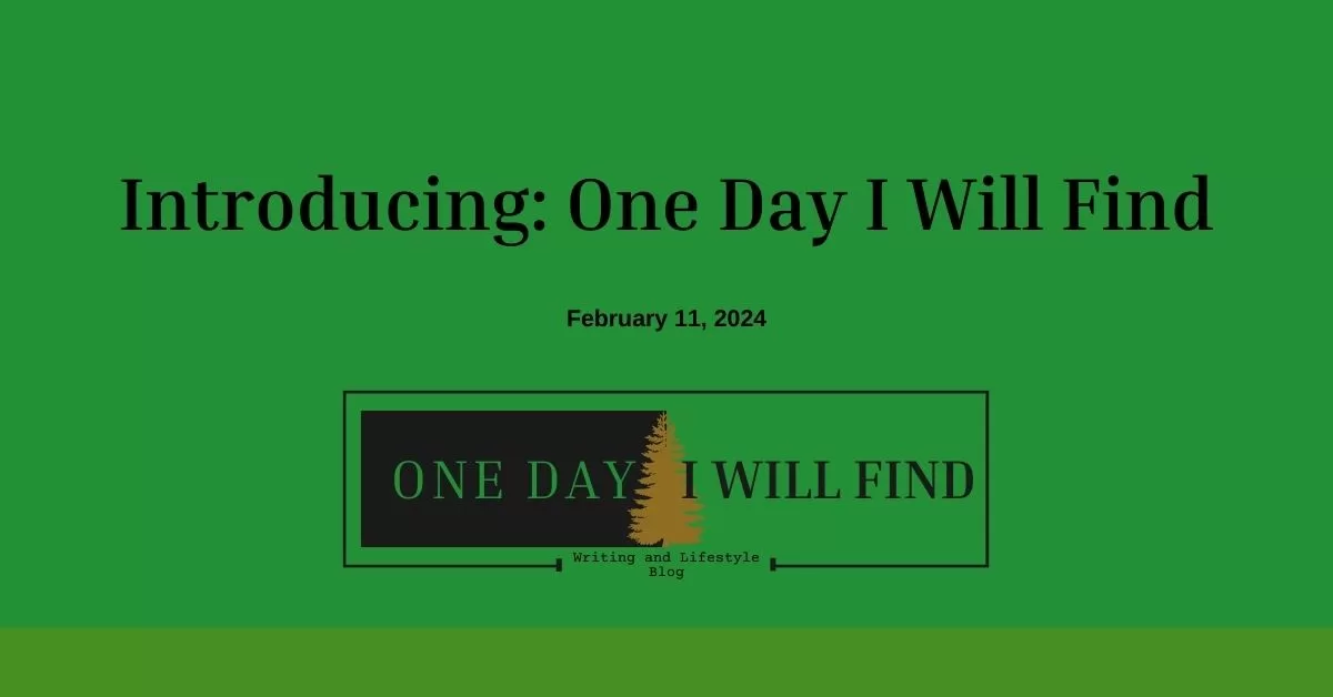 Introducing: One Day I Will Find